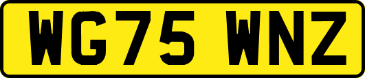 WG75WNZ