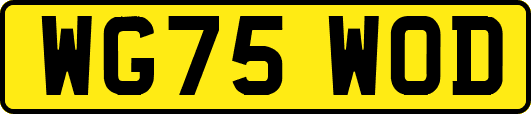 WG75WOD