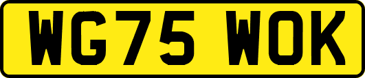 WG75WOK