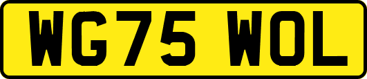 WG75WOL