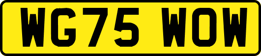 WG75WOW