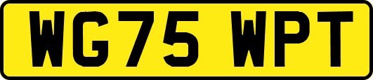 WG75WPT