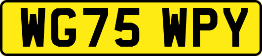 WG75WPY