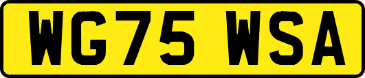 WG75WSA