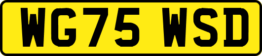 WG75WSD