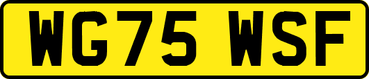 WG75WSF