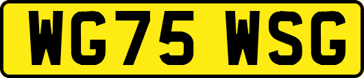 WG75WSG