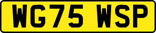WG75WSP