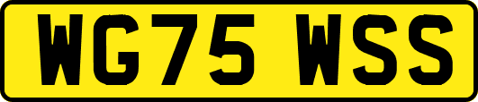 WG75WSS