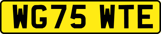 WG75WTE