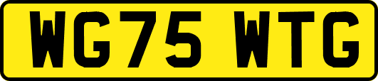 WG75WTG