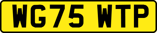 WG75WTP