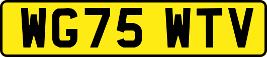 WG75WTV