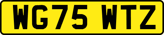 WG75WTZ