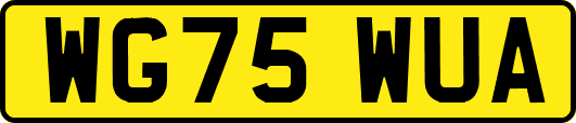 WG75WUA