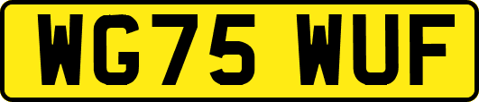 WG75WUF