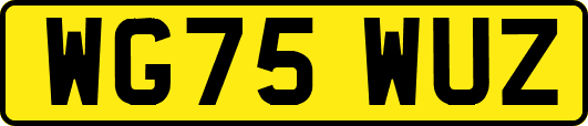WG75WUZ
