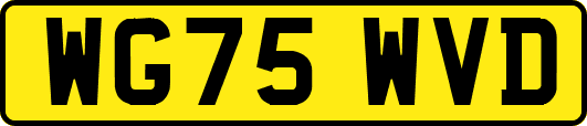 WG75WVD
