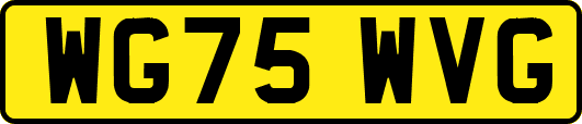 WG75WVG