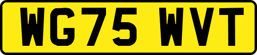 WG75WVT