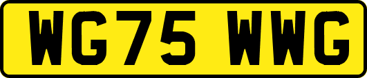 WG75WWG