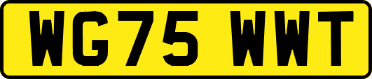 WG75WWT