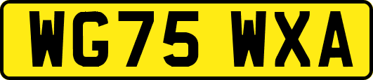 WG75WXA