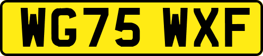 WG75WXF