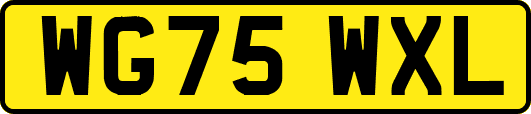 WG75WXL