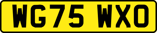 WG75WXO