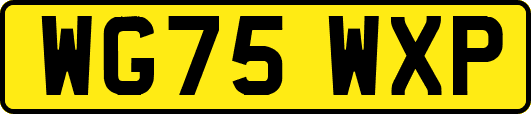 WG75WXP