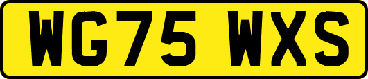 WG75WXS