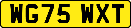 WG75WXT