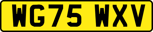 WG75WXV