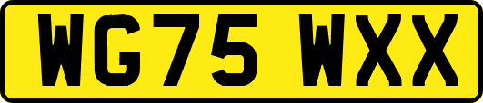 WG75WXX