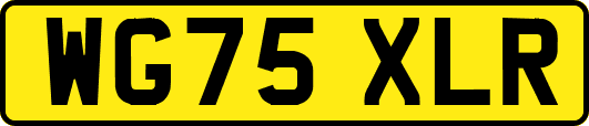 WG75XLR