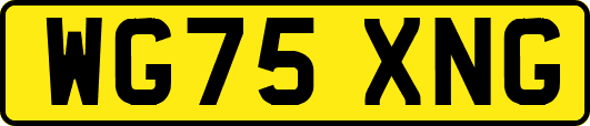 WG75XNG