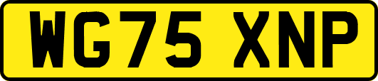 WG75XNP