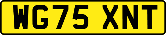 WG75XNT