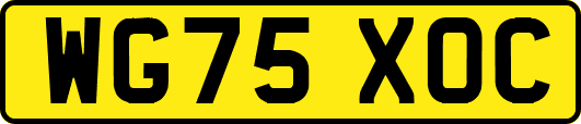 WG75XOC