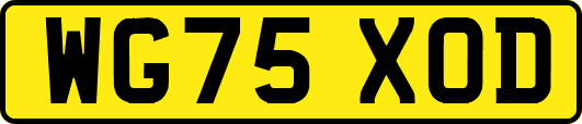 WG75XOD