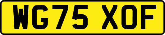WG75XOF