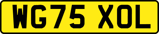 WG75XOL