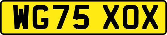 WG75XOX