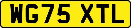 WG75XTL