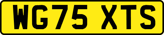 WG75XTS