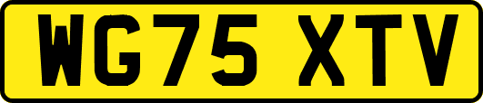 WG75XTV