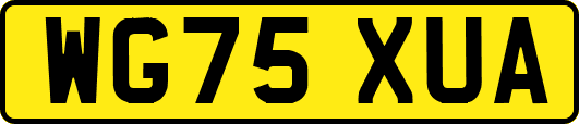 WG75XUA