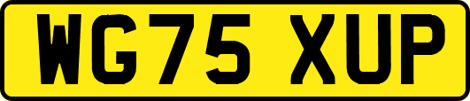 WG75XUP