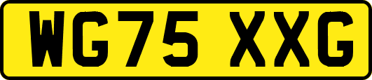 WG75XXG